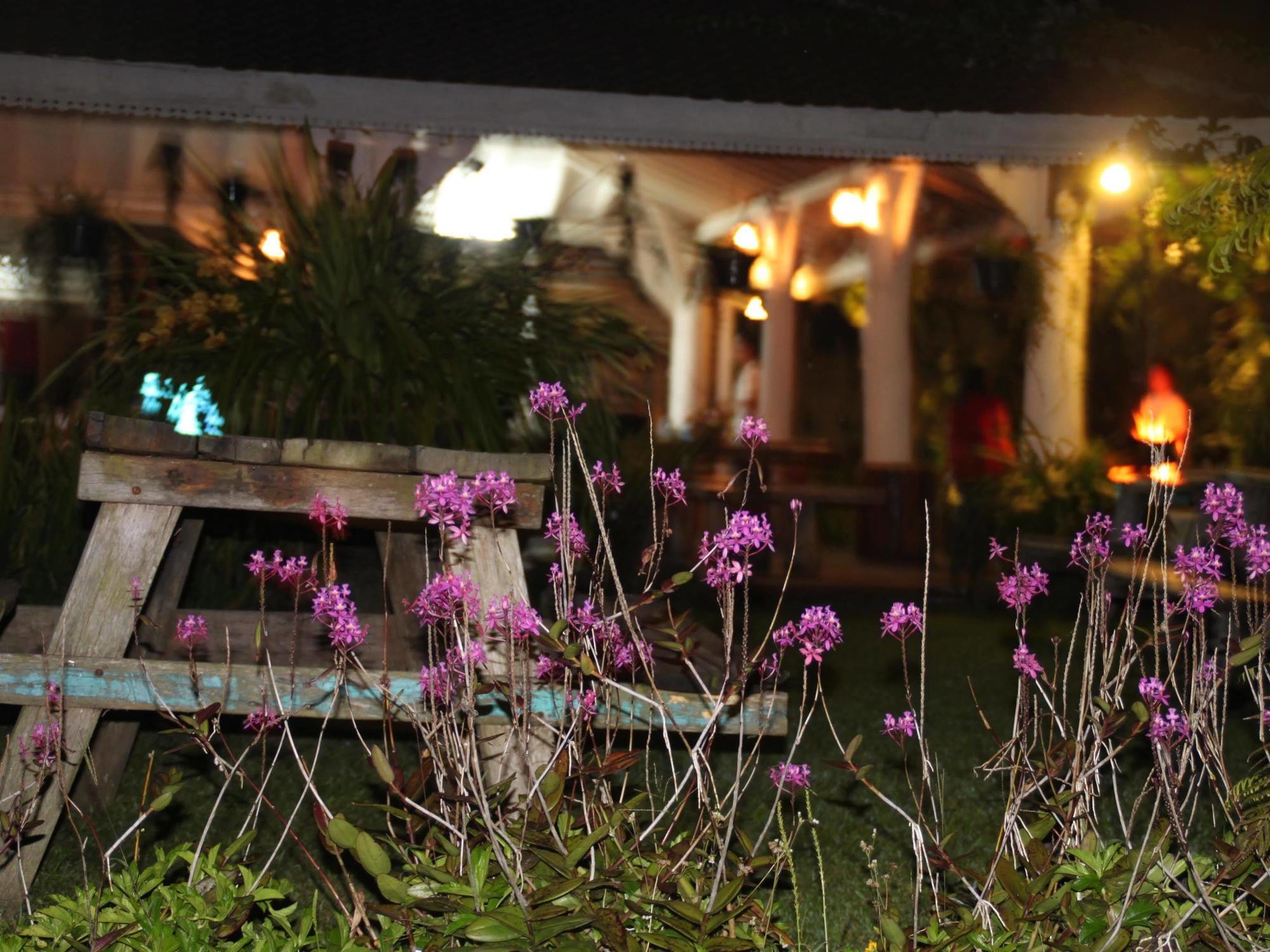 Warung Rekreasi Bedugul Hotel Экстерьер фото
