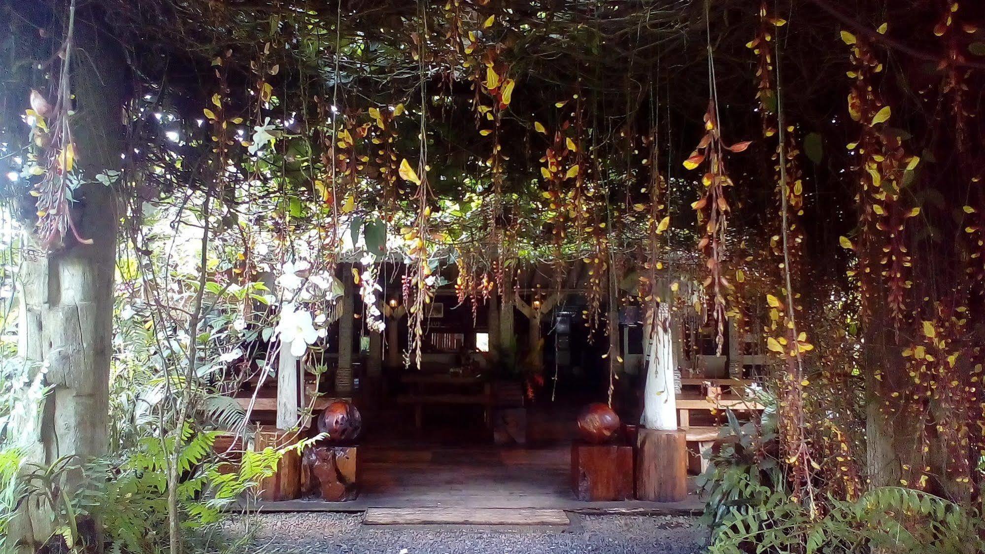 Warung Rekreasi Bedugul Hotel Экстерьер фото